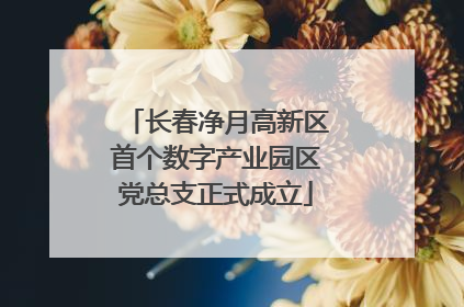 长春净月高新区首个数字产业园区党总支正式成立