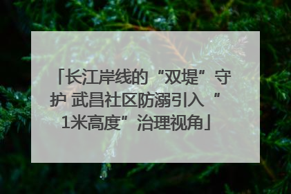 长江岸线的“双堤”守护 武昌社区防溺引入“1米高度”治理视角