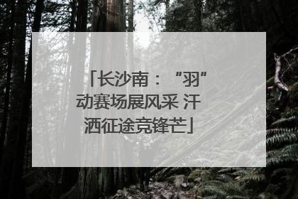 长沙南：“羽”动赛场展风采 汗洒征途竞锋芒