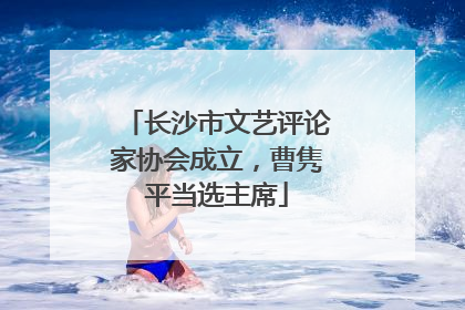 长沙市文艺评论家协会成立，曹隽平当选主席