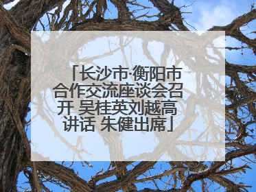 长沙市·衡阳市合作交流座谈会召开 吴桂英刘越高讲话 朱健出席