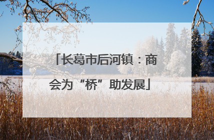 长葛市后河镇：商会为“桥”助发展