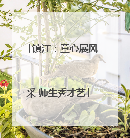 镇江：童心展风采 师生秀才艺