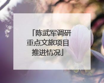 陈武军调研重点文旅项目推进情况
