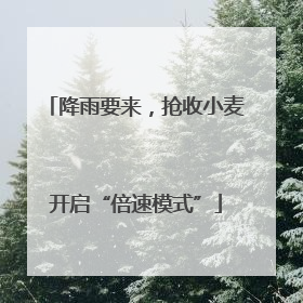 降雨要来，抢收小麦开启“倍速模式”