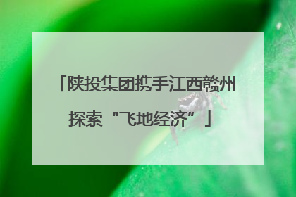 陕投集团携手江西赣州 探索“飞地经济”