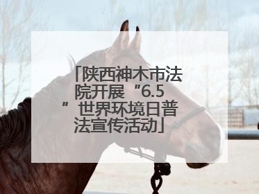 陕西神木市法院开展“6.5”世界环境日普法宣传活动