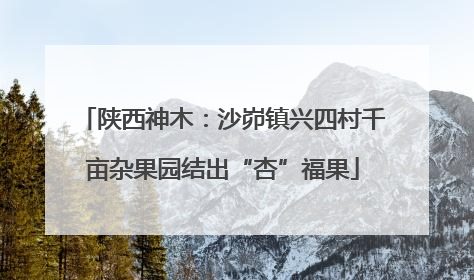 陕西神木：沙峁镇兴四村千亩杂果园结出“杏”福果