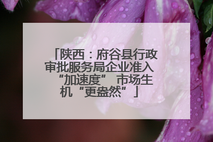 陕西：府谷县行政审批服务局企业准入“加速度” 市场生机“更盎然”