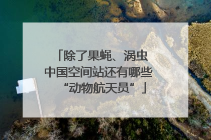 除了果蝇、涡虫 中国空间站还有哪些“动物航天员”