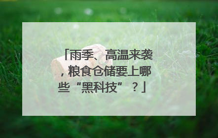 雨季、高温来袭，粮食仓储要上哪些“黑科技”？