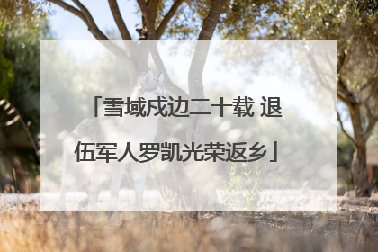 雪域戍边二十载 退伍军人罗凯光荣返乡