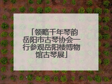 领略千年琴韵 岳阳市古琴协会一行参观岳阳楼博物馆古琴展