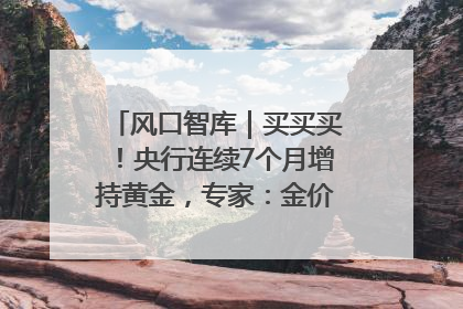 风口智库｜买买买！央行连续7个月增持黄金，专家：金价或仍易涨难跌