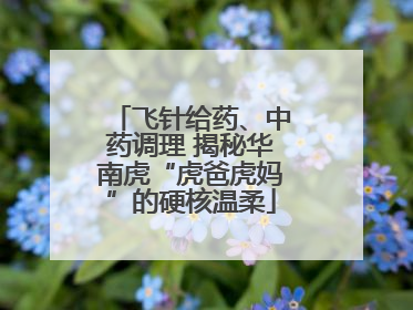 飞针给药、中药调理 揭秘华南虎“虎爸虎妈”的硬核温柔