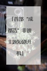 首部“成都造”非遗主题短剧开机