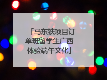 马东铁项目订单班留学生广西体验端午文化