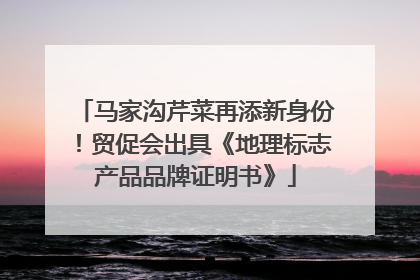 马家沟芹菜再添新身份！贸促会出具《地理标志产品品牌证明书》