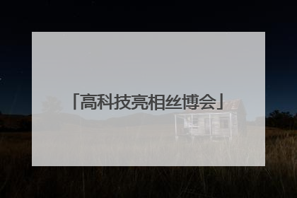 高科技亮相丝博会