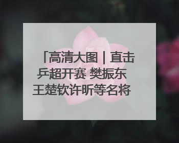 高清大图｜直击乒超开赛 樊振东王楚钦许昕等名将悉数亮相