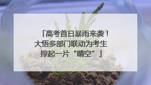 高考首日暴雨来袭！大悟多部门联动为考生撑起一片“晴空”