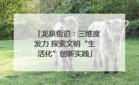 龙泉街道：三维度发力 探索文明“生活化”创新实践