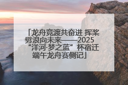 龙舟竞渡共奋进 挥桨劈浪向未来——2025“洋河·梦之蓝”杯宿迁端午龙舟赛侧记