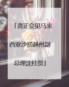 龚正会见马来西亚沙捞越州副总理沈桂贤