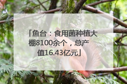 鱼台：食用菌种植大棚8100余个，总产值16.43亿元