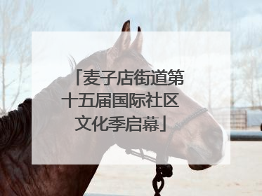 麦子店街道第十五届国际社区文化季启幕