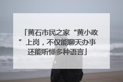 黄石市民之家“黄小政”上岗，不仅能聊天办事还能听懂多种语言