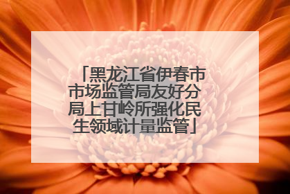 黑龙江省伊春市市场监管局友好分局上甘岭所强化民生领域计量监管