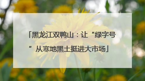 黑龙江双鸭山：让“绿字号”从寒地黑土挺进大市场