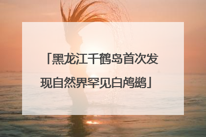 黑龙江千鹤岛首次发现自然界罕见白鸬鹚