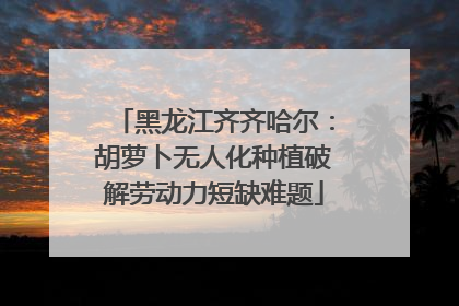 黑龙江齐齐哈尔：胡萝卜无人化种植破解劳动力短缺难题