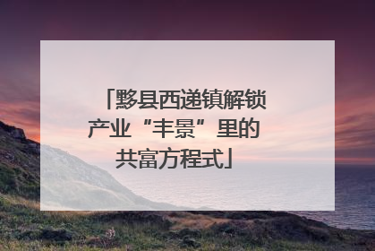 黟县西递镇解锁产业“丰景”里的共富方程式