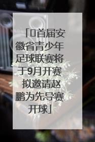 ﻿首届安徽省青少年足球联赛将于9月开赛 拟邀请赵鹏为先导赛开球