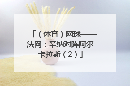 （体育）网球——法网：辛纳对阵阿尔卡拉斯（2）