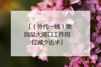 （外代一线）美国最大港口工作岗位减少近半