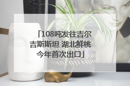 108吨发往吉尔吉斯斯坦 湖北鲜桃今年首次出口