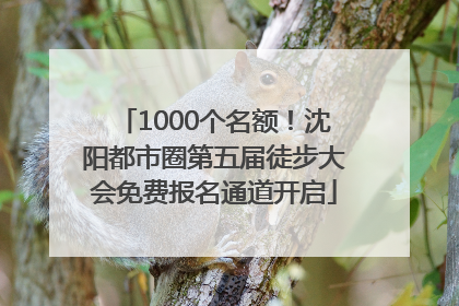 1000个名额！沈阳都市圈第五届徒步大会免费报名通道开启