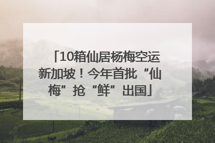 10箱仙居杨梅空运新加坡！今年首批“仙梅”抢“鲜”出国
