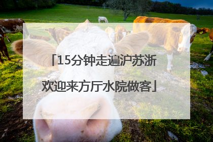 15分钟走遍沪苏浙 欢迎来方厅水院做客