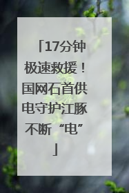 17分钟极速救援！国网石首供电守护江豚不断“电”