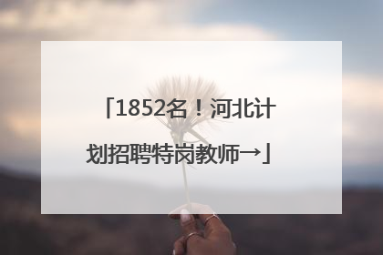 1852名！河北计划招聘特岗教师→