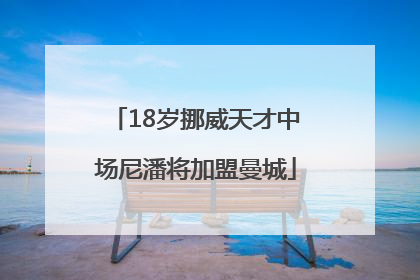 18岁挪威天才中场尼潘将加盟曼城