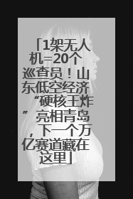 1架无人机=20个巡查员！山东低空经济“硬核王炸”亮相青岛，下一个万亿赛道藏在这里