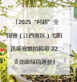 2025“村超”全国赛（江西赛区）弋阳选拔赛燃情揭幕 22支劲旅绿茵逐梦