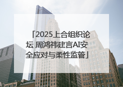 2025上合组织论坛 周鸿祎建言AI安全应对与柔性监管