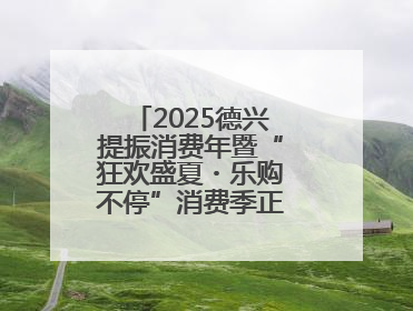 2025德兴提振消费年暨“狂欢盛夏・乐购不停”消费季正式启动（图）